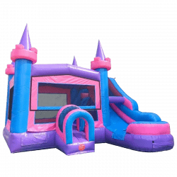 Cotton Candy Castle (Wet or Dry)