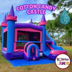 Cotton Candy Castle (Wet or Dry)